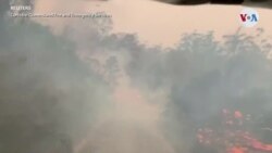Foro económico Mundial emite reporte 2020