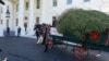Melania Trump recibe el árbol de Navidad de la Casa Blanca