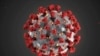 The Infodemic: COVID-19 Isn't 'Normal Flu Virus'