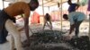Les ouvriers artisanaux trient les minerais, sur la route entre Kolwezi et Lubumbashi, le 15 février 2018.