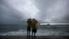FILE - Two men use a plastic sheet to protect themselves from heavy monsoon rain as they stand by the sea in Colombo, Sri Lanka, May 17, 2018.