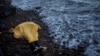 Nearly 4,000 Migrants Died Crossing Mediterranean in 2015