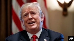 President Donald Trump speaks during a Cabinet meeting at the White House, Jan. 10, 2018, in Washington. 