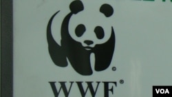 Le WWF assure "prendre très au sérieux toute allégation de violations des droits de l'homme". 