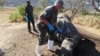 South Africa’s Plan to Move Rhinos May Not Stop Poaching 