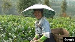 China Coffee