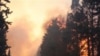 Sedikitnya 40 Tewas akibat Kebakaran Hutan di Israel