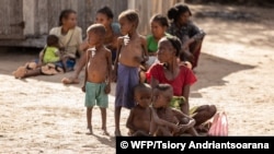 Orang tua dan anak-anak paling menderita akibat kerawanan pangan di Ambovombe, Madagaskar, 12 Juni 2021, karena mereka tidak punya apa-apa selain daun kaktus untuk dimakan. (Courtesy Image: WFP/Tsiory Andriantsoarana)
