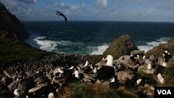 Las islas Malvinas siguen siendo un reclamo para Argentina, un territorio ocupado por Gran Brataña a las que denominan Falkland.