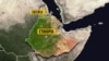 የኢትዮጵያ መንግሥት አሸባሪዎች ያዝኩ አለ