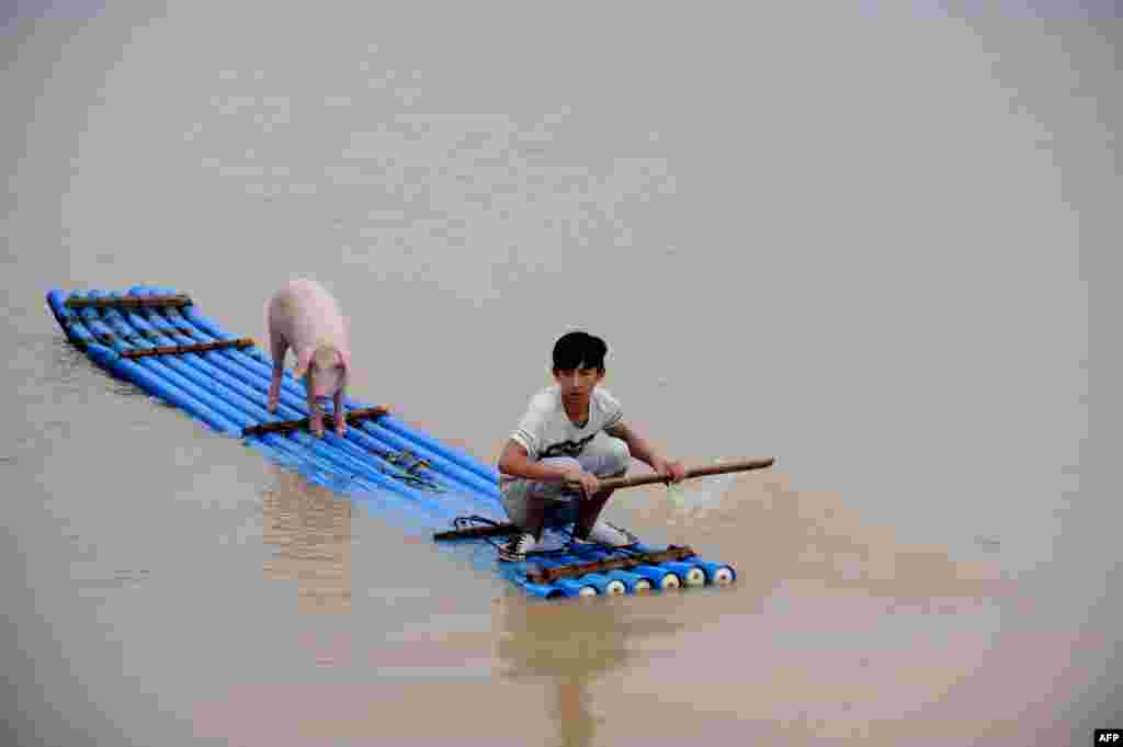 A man and a pig make their way through flood waters on a makeshift raft in Lishui, east China's Zhejiang province after days of heavy rain.