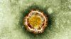 WHO Adakan Pertemuan Tentang Virus Korona
