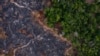 Amazon Rainforest Nears Climate 'Tipping Point' Faster Than Expected