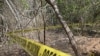 México: asesinan a dos periodistas