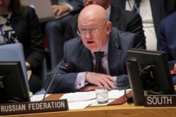 Vassily Nebenzia, Russian Ambassador to the United Nations, addresses the Security Council at U.N. headquarters in New York, April 10, 2019.