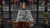 WHO Report: COVID-19 Likely First Jumped Into Humans from Animals 