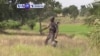 VOA60 AFRIKA: A Najeriya, Manoma Da Dama Suna Tserewa Rikici A Arewa Ta Tsakiya Kai Kasar Noma Mai Kyau Saboda Tashe-tashen Hankula