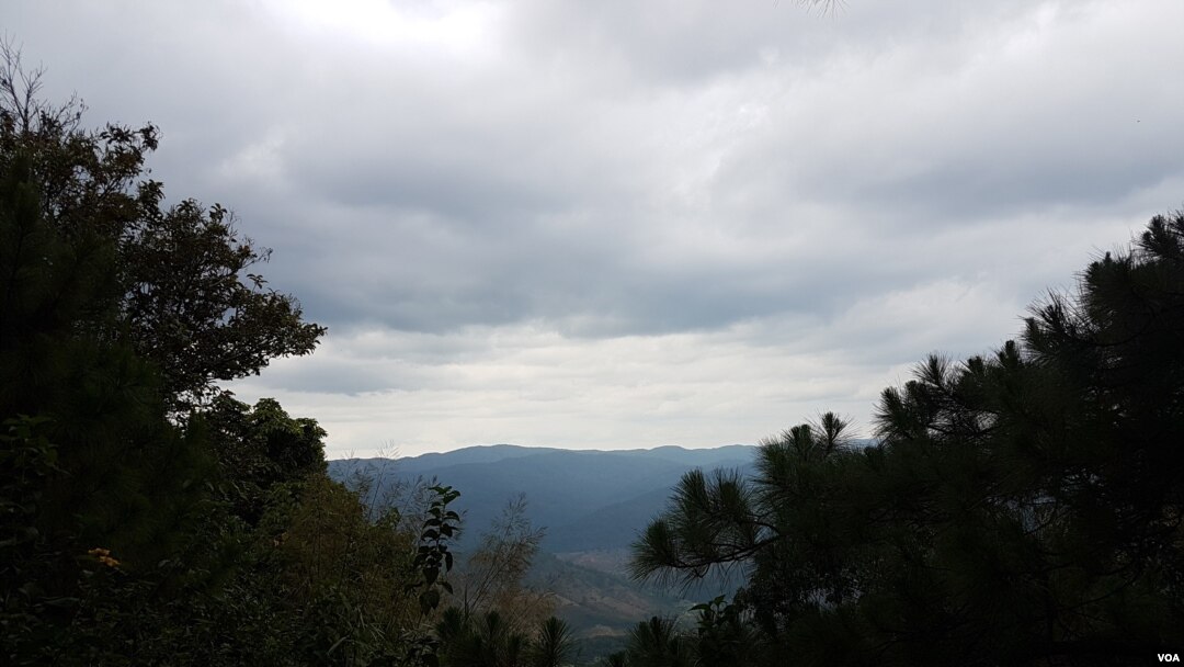 Part of Vietnam’s strategy to reduce carbon emissions is to promote reforestation, such as in the Central Highlands town of Da Lat. (VOA) 