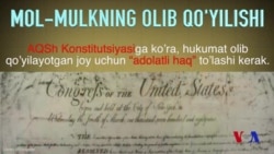 Mulk va qonun