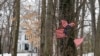 Details Emerge About US Student Detained in North Korea