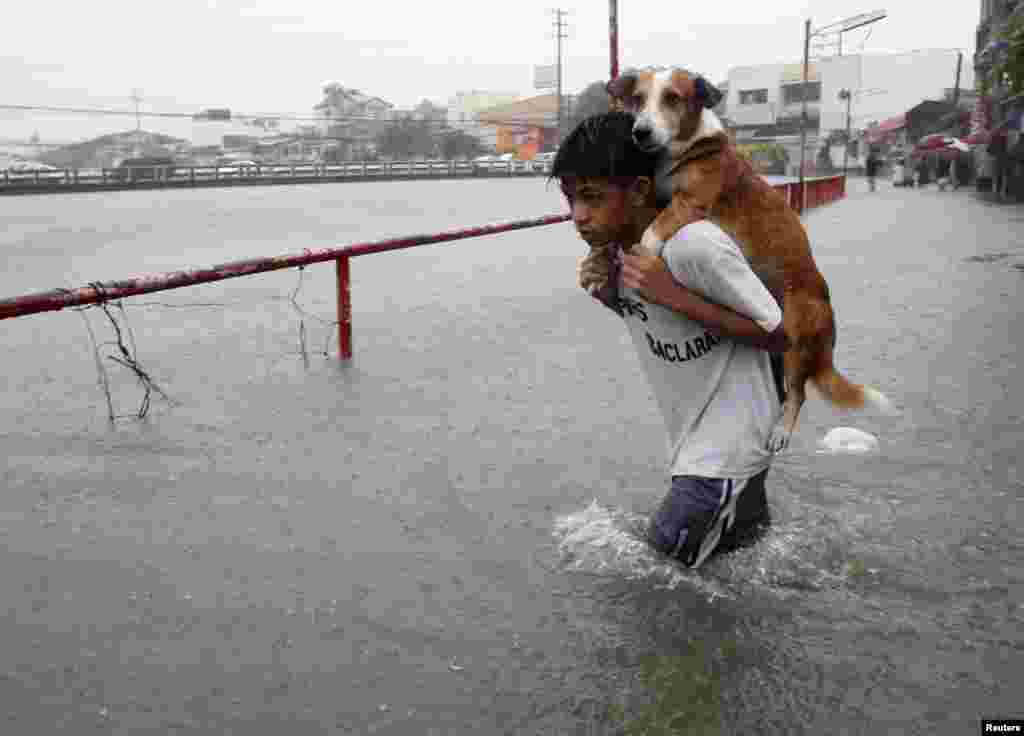 A boy carries his dog in floodwaters in Paranaque city, metro Manila, August 20, 2013.